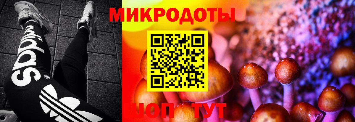 Псилоцибиновые грибы Magic Shrooms Уварово